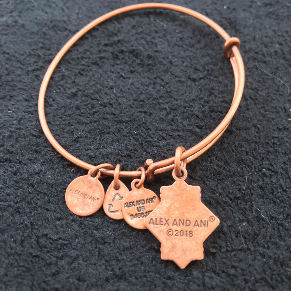 Alex and Ani bracelet